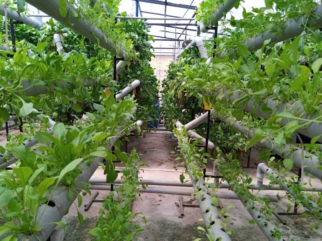 Precision NFT Hydroponic System